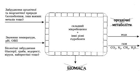 http://www.nbuv.gov.ua/portal/all/herald/2003-03/5-4.gif