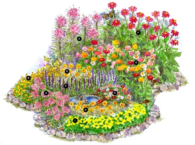 ��������: dlitelnoe-tsvetenie-3-