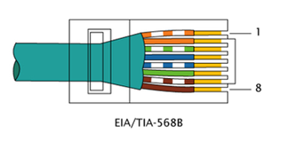 : : RJ-45 TIA-568B Right.png